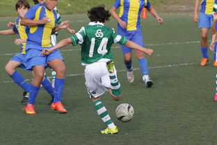 B体育官方登录入口-辽宁沈阳VS广州富力，中超联赛激烈对抗！